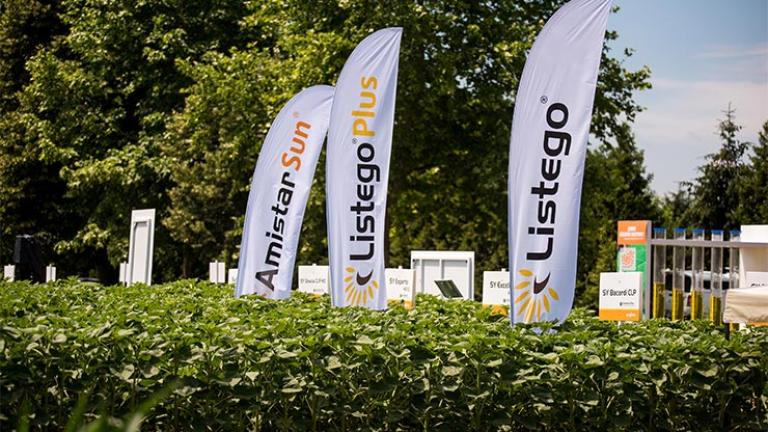 Syngenta: megújult stratégia a fenntartható mezőgazdaság érdekében