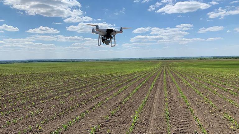 Syngenta változó tőszámú precíziós kukorica vetés-technológia