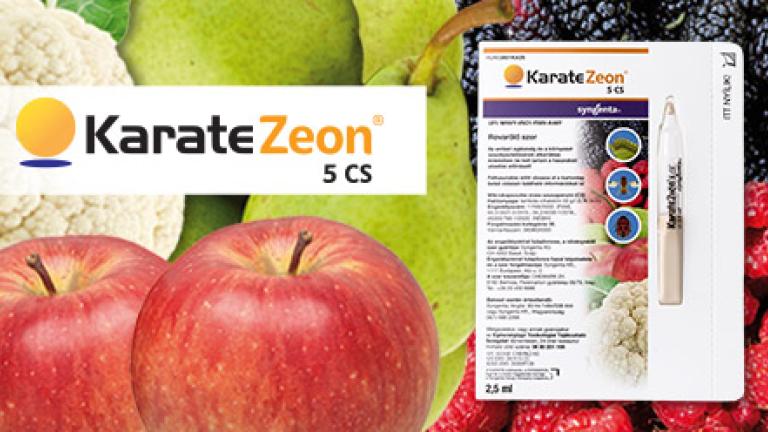 KARATE ZEON 5 CS rovarölő szer