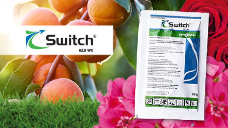 SWITCH 62,5 WG gombaölő szer