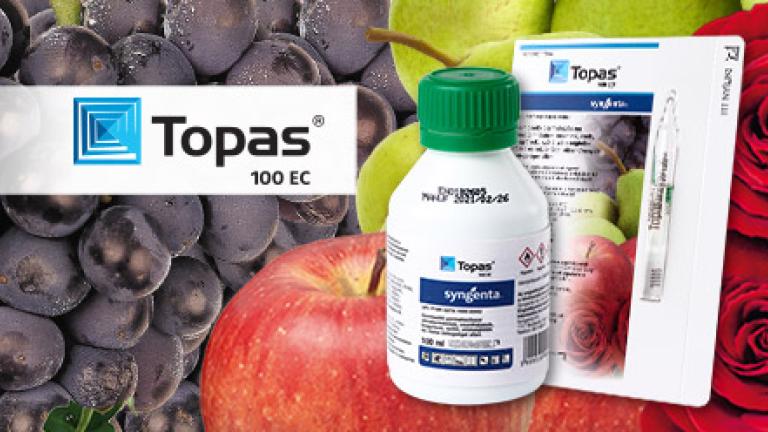 TOPAS 100 EC gombaölő szer
