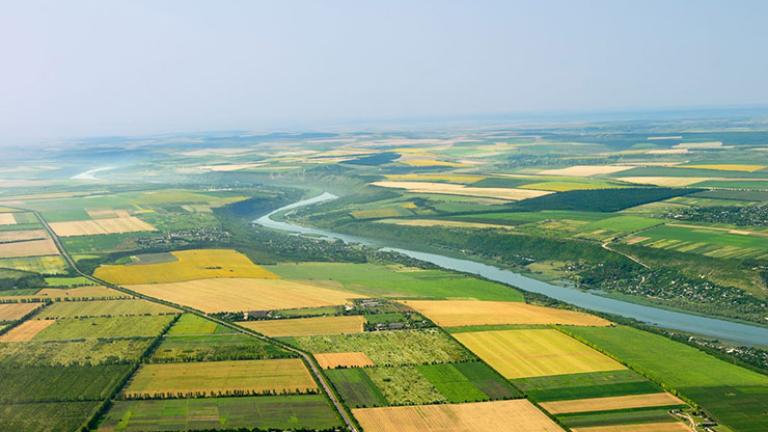 Iparági vezető szerepet vállal a Syngenta a fenntartható mezőgazdaságban