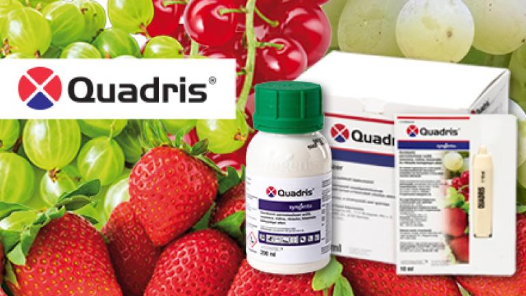 QUADRIS gombaölő szer