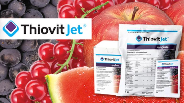 THIOVIT JET gombaölő szer