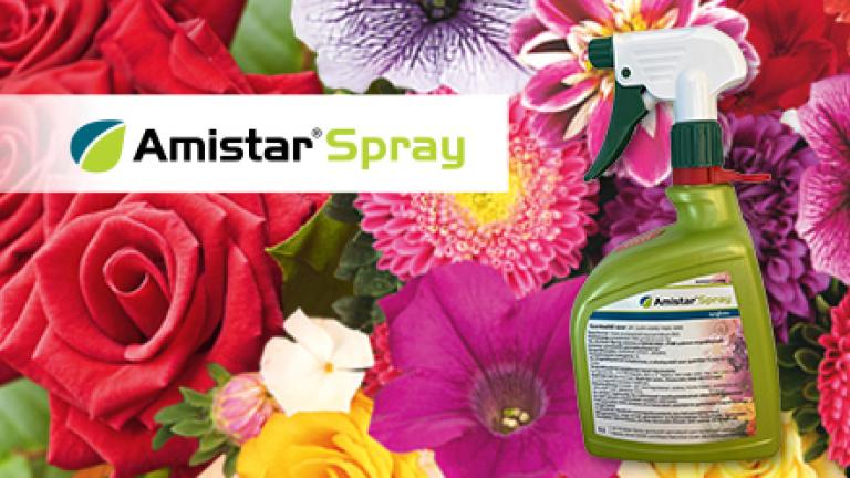 Amistar Spray gombaölő szer