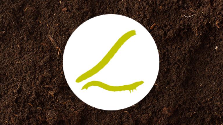Syngenta növényvédelem - drótféreg