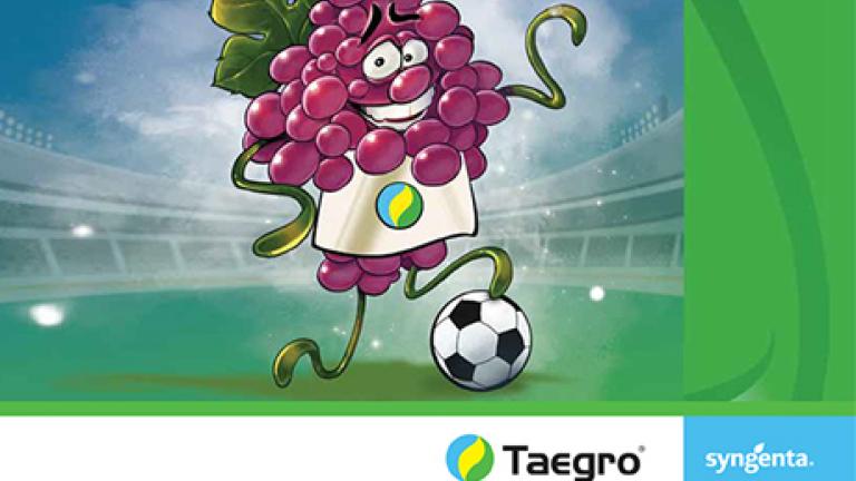 Taegro kiadvány