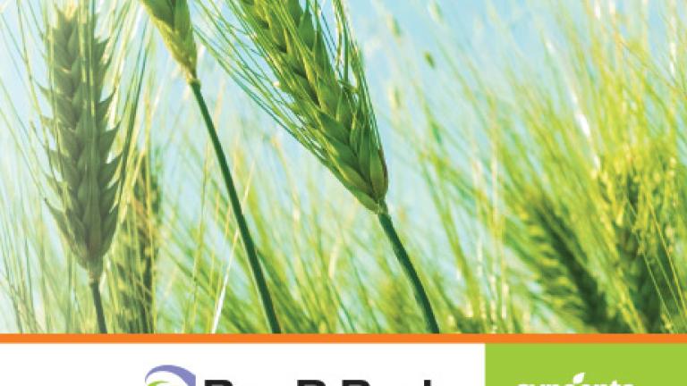 Syngenta Magyarország - Box-R Pack kiadvány