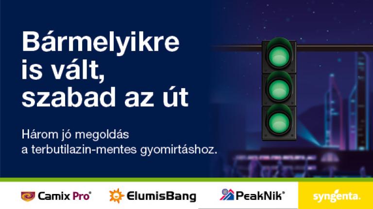 Terbutilazin mentes megoldások a Syngentától