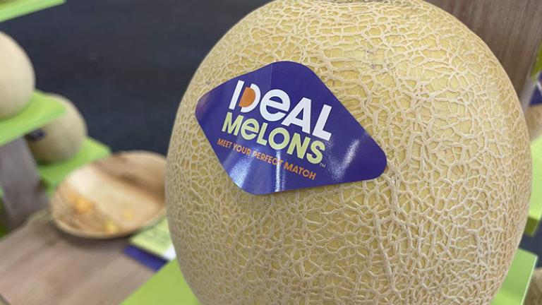 Ezüstérmes lett a Syngenta IDEAL sárgadinnyéje a leginnovatívabb termék kategóriában a Fruit Logistica kiállításon