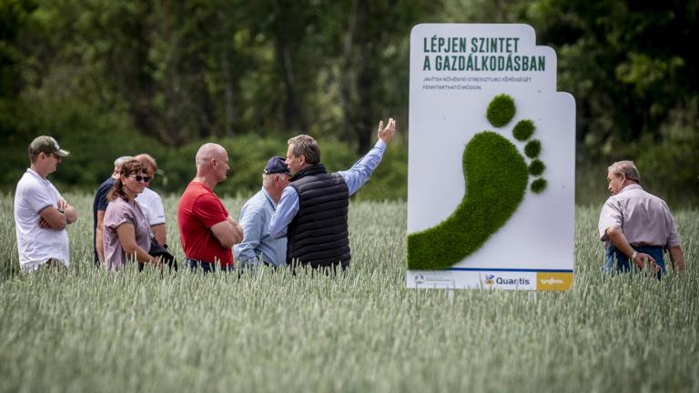 Syngenta Szershow