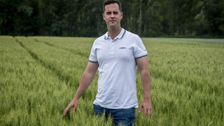 Krupp KristófSyngenta, kalászos vetőmag kampánymenedzser