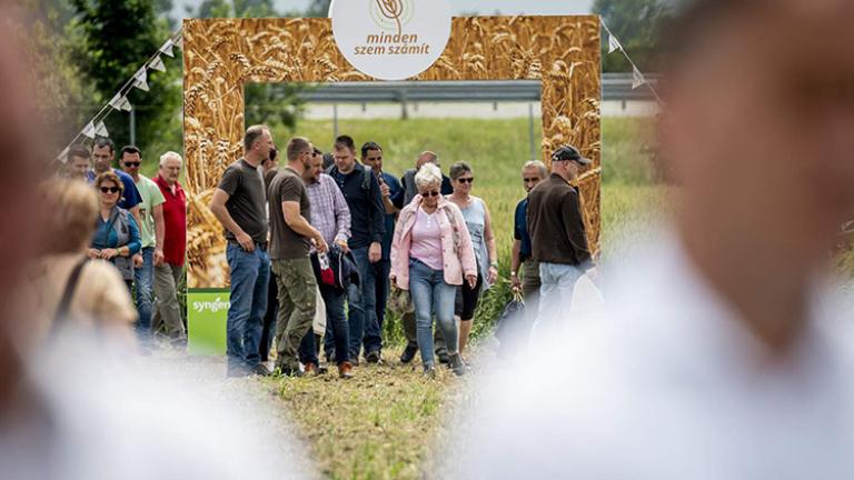 Syngenta Szershow: fókuszban a kalászosok