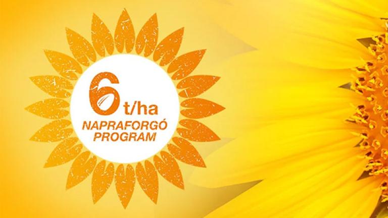 6 t/ha programunk