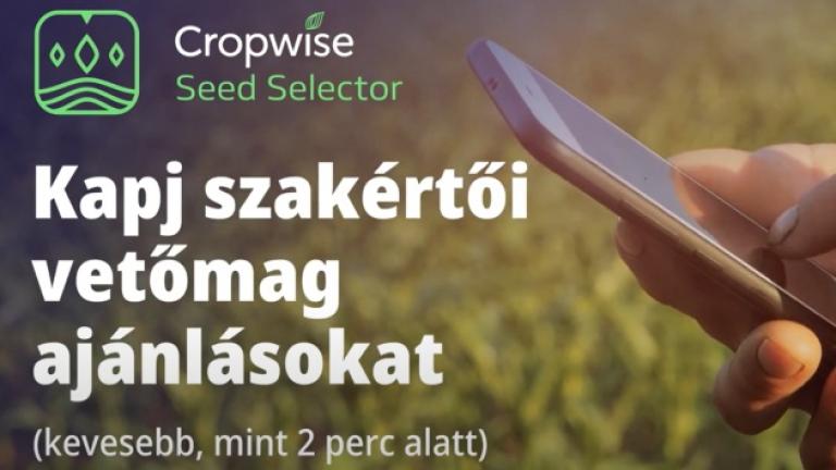 Syngenta | gazdaságához igazodó kukorica hibrid ajánlatok |