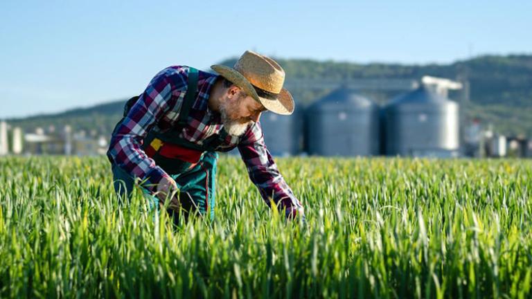 Hagyja, hogy növényei a legjobb formájukat mutassák a Quantis biostimulátor segítségével