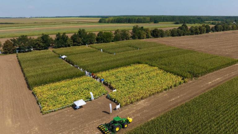 Együtt fejlődünk, avagy a Syngenta crop-EX bemutatójának terméseredménye 2023-ban