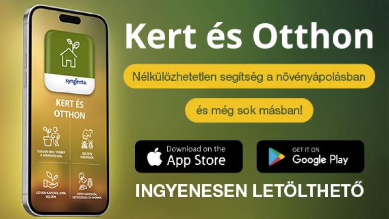 Kert és Otthon