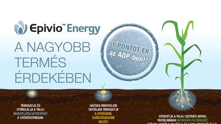 Válaszd a Syngenta napraforgó és kukorica hibrideket +1 pontért az AÖP-ben!