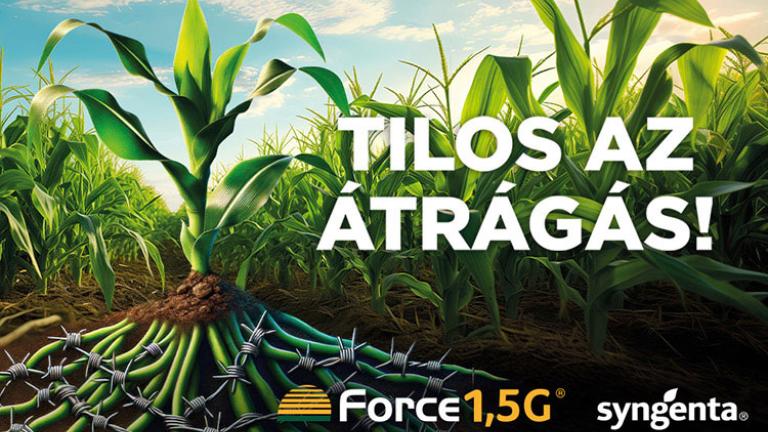 Force - Tilos az átrágás