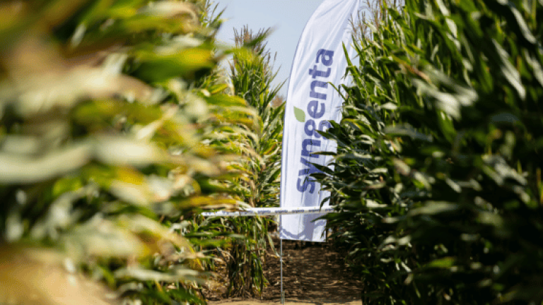 Syngenta termékek