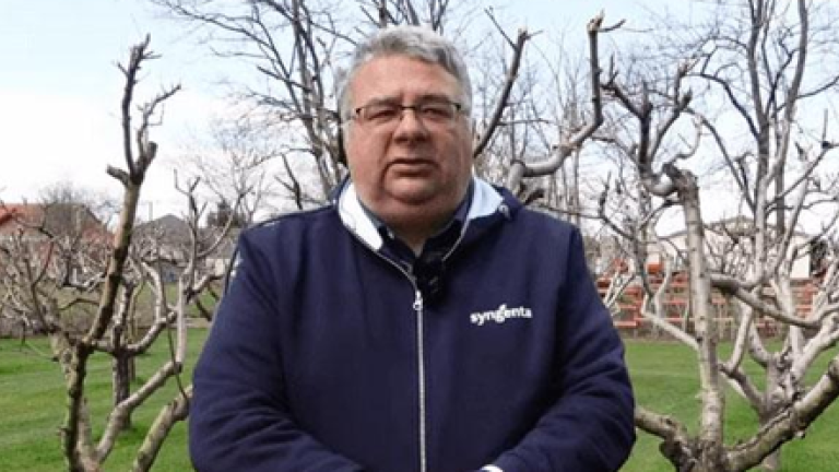 Syngenta kiskerti megoldások - Mádi Zsolt