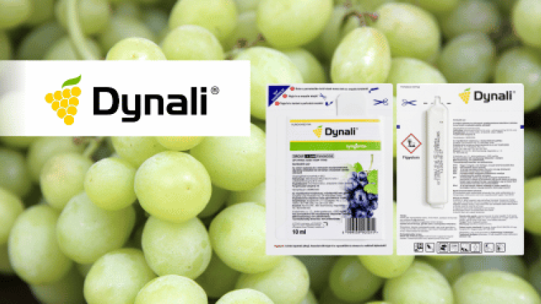 Dynali gombaölő szer