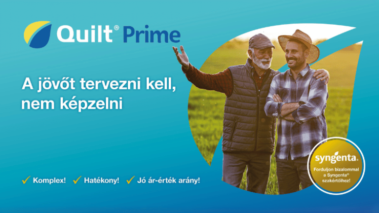 Quilt Prime - Hatékonyság és jó ár-érték arány – Új kalászos gombaölő szer a Syngenta portfóliójában