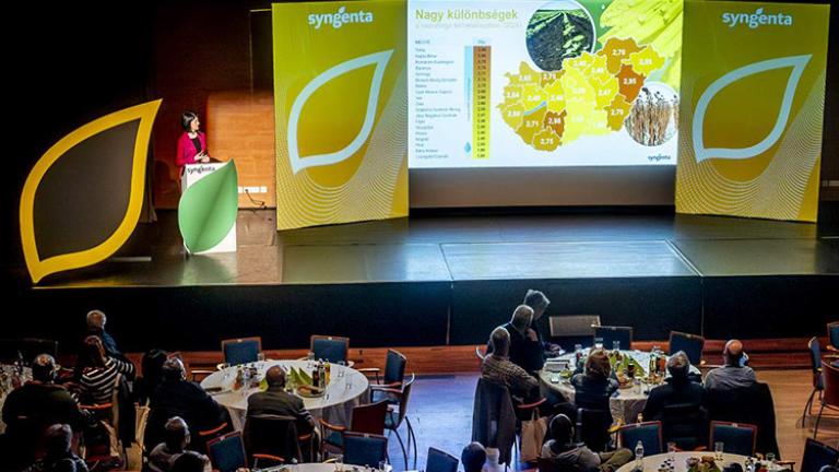Kimagasló teljesítményű hibridekkel és hatékony  növényvédelmi megoldásokkal bővült a Syngenta kínálata 