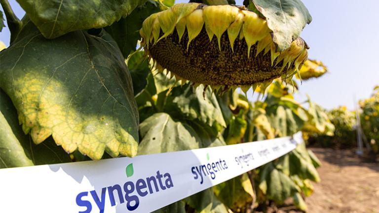 Magasabb szintre emelné a gazdálkodók technológiai tudatosságát és eredményességét a Syngenta Agronomy Solution csapata