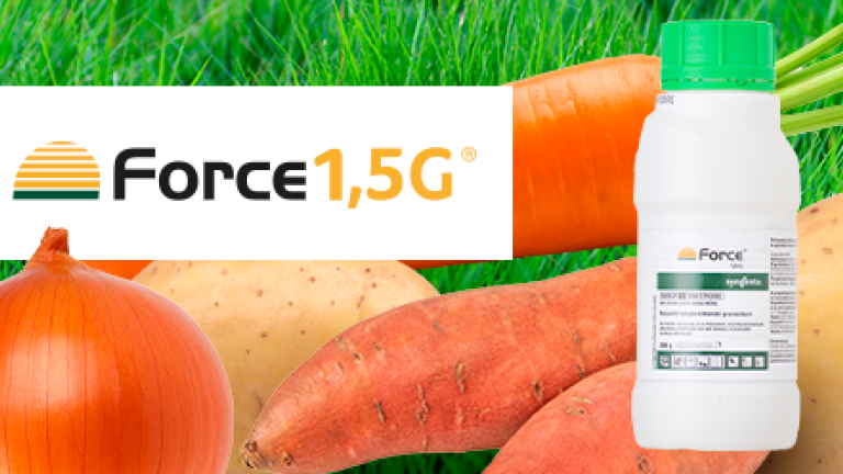 FORCE 1,5 G rovarölő szer - Kiskerti megoldások (SPS)