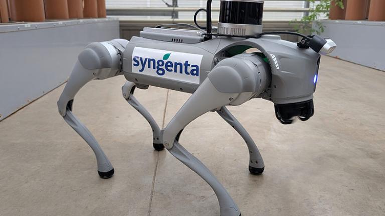 Robotkutya: az agronómus új legjobb barátja