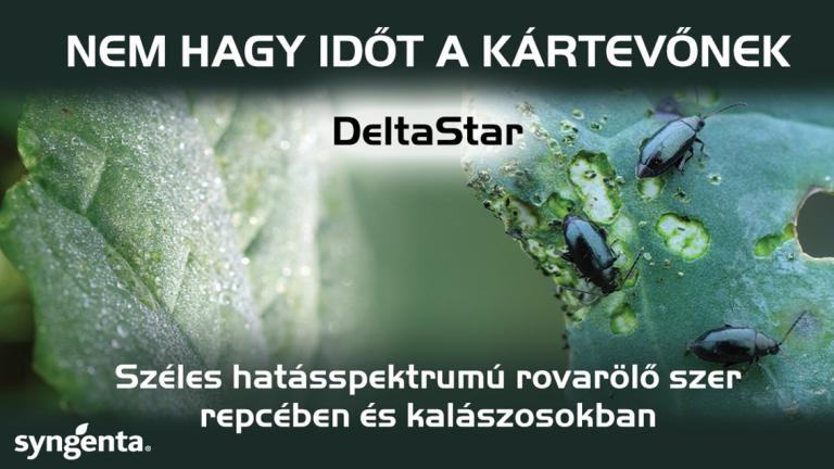 DeltaStar - Új rovarölő szer a Syngenta kínálatában