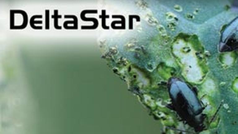 DeltaStar - Új rovarölő szer a Syngenta kínálatában