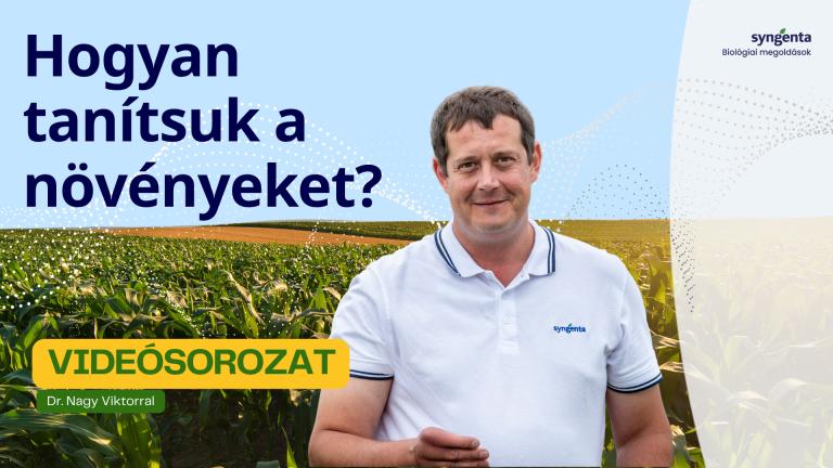 Hogyan tanítsuk a növényeket?