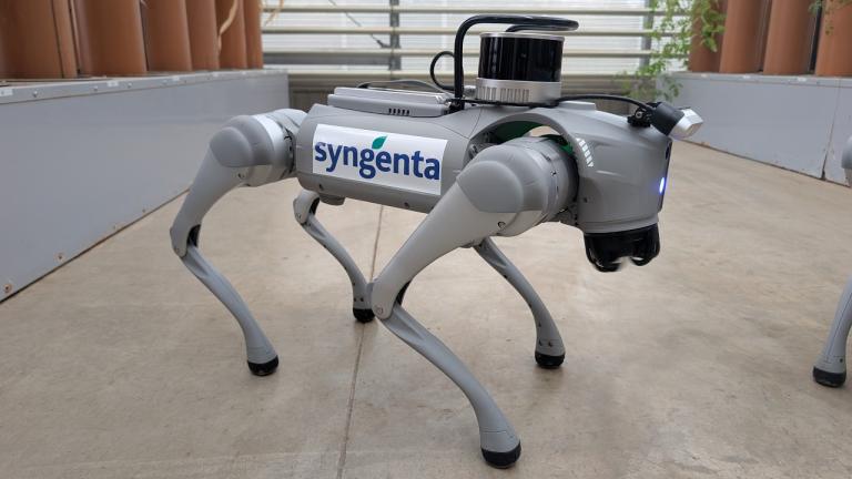 Robodog: új munkatárs a gazdaságban