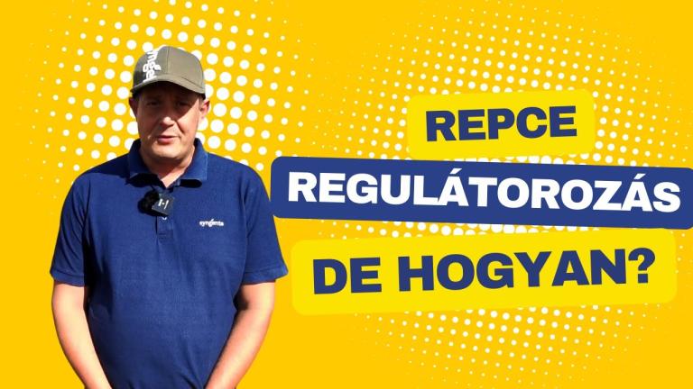 Repce őszi növényvédelmi teendői | regulátorozás, növekedésszabályozás