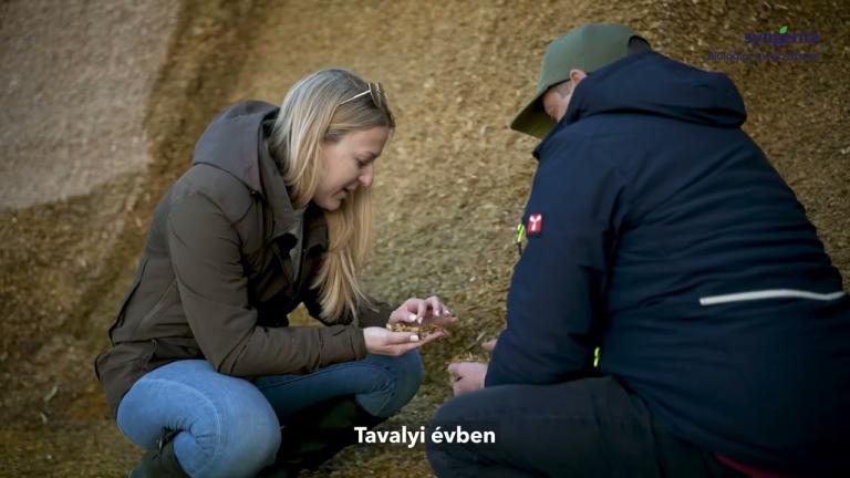 A Megafol biostimulátor képes a környezeti stressz okozta károk mérséklése