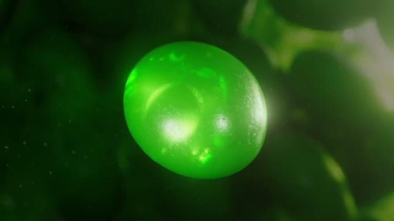 🌱 Quantis | a Syngenta első biostimulátora | lépjen szintet a gazdálkodásban