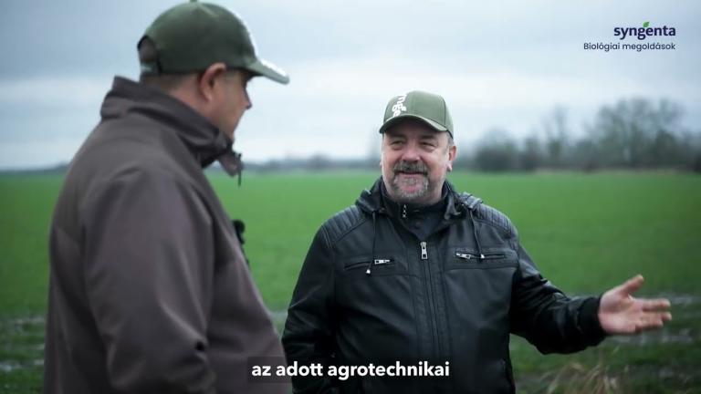 A Quantis biostimulátor hatékonyan készíti fel a növényt a bekövetkező stresszhelyzetre