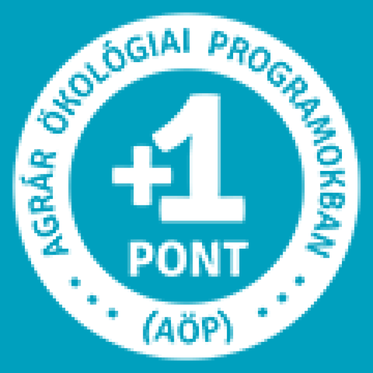 AÖP Plusz 1 pont