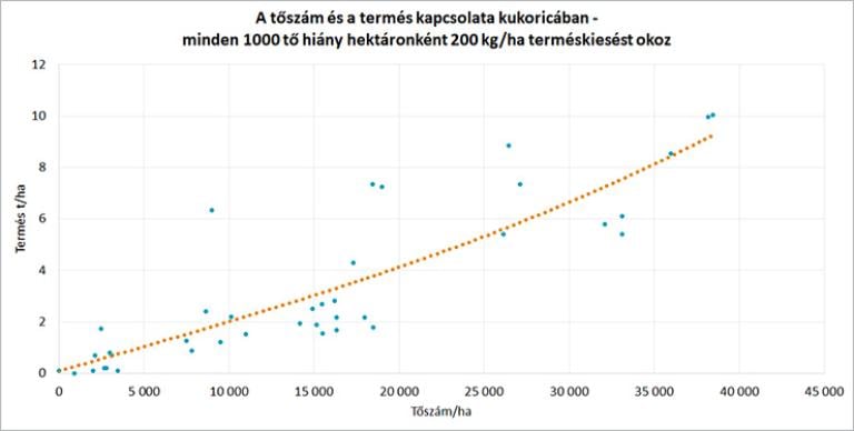 A tőszám és a termés kapcsolata kukoricában - minden 1000 tő hiány hektáronként 200 kg/ha terméskiesést okoz