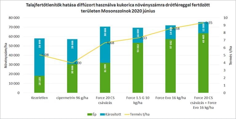 1. ábra Talajfertőtlenítők hatása diffúzort használva kukorica növényszámra drótféreggel fertőzött területen Mosonszolnok 2020 június