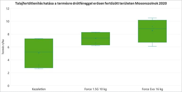 4. ábra Talajfertőtlenítés hatása a termésre drótféreggel erősen fertőzött területen Mosonszolnok 2020