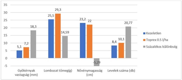 1.ábra: őszi Toprex kezelés hatása a növényállományra (forrás: Syngenta magyarországi fejlesztői kísérlet, Cegléd, 2013)