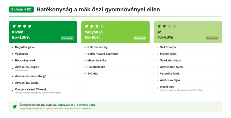 Callisto 4 SC hatékonyság a mák őszi gyomnövényei ellen
