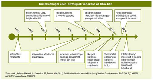 A kukoricabogár elleni stratégiák változása az USA-ban