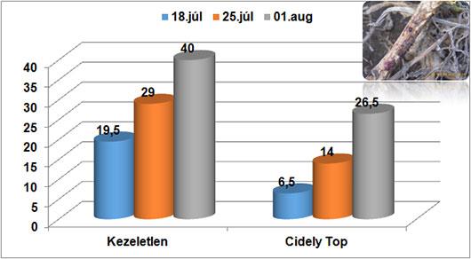 Cidely Top hatékonysága a didimella ellen: Fertőzés gyakorisága (FGY %)