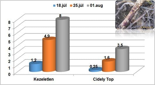 Cidely Top hatékonysága a didimella ellen: Fertőzés mértéke (FM %)