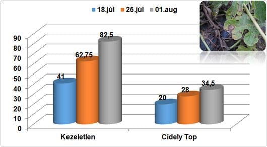 Cidely Top hatékonysága a fenésedés ellen: Fertőzés gyakorisága (FGY %)
